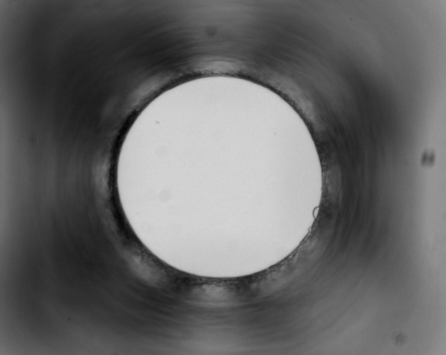 X0000103930159200810311525