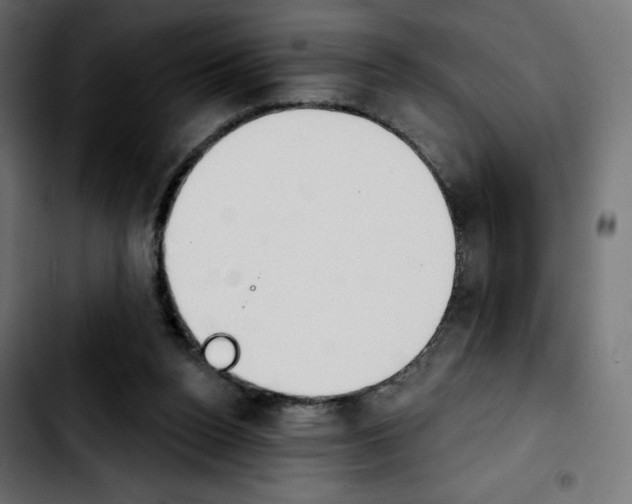 X0000103930160200810311525