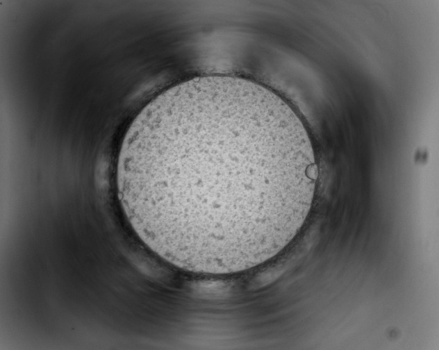 X0000103930161200810311525