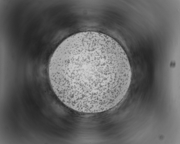 X0000103930162200810311525
