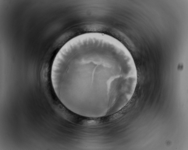 X0000103930163200810311525