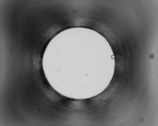 X0000103930164200810311525