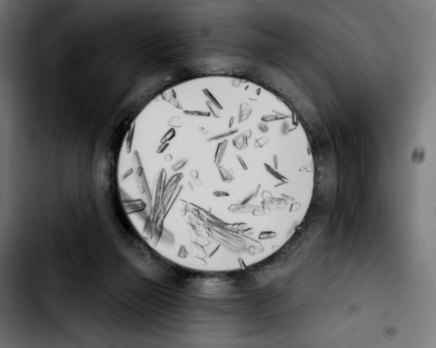 X0000103930165200810311525
