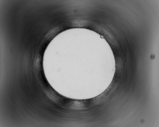 X0000103930166200810311525