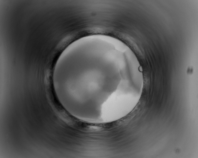 X0000103930167200810311525