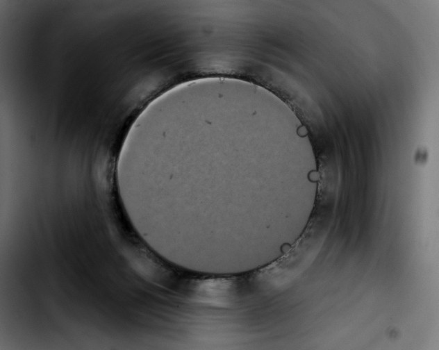 X0000103930168200810311525