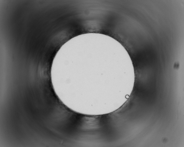 X0000103930170200810311525