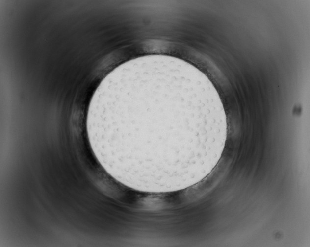 X0000103930171200810311525