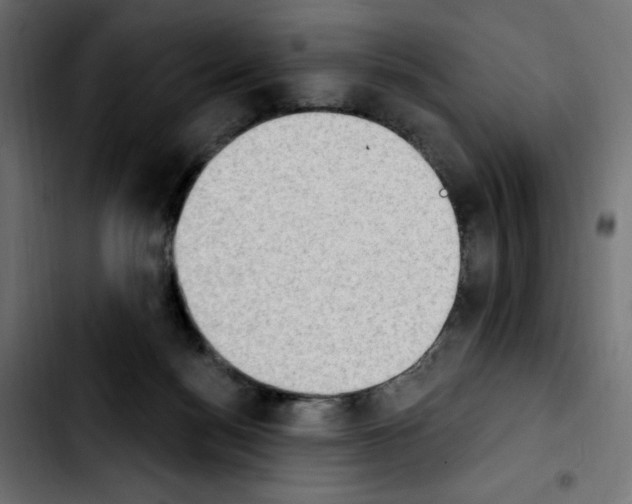 X0000103930172200810311525