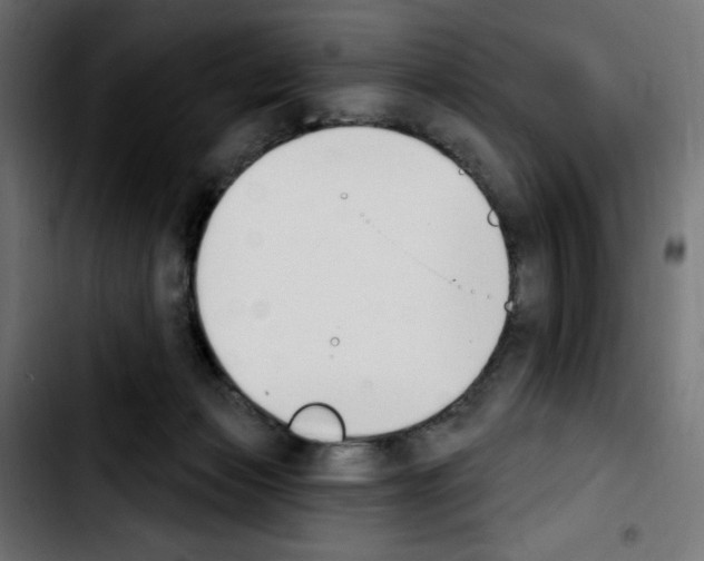 X0000103930173200810311525