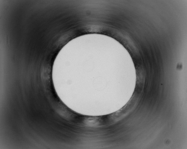 X0000103930175200810311525