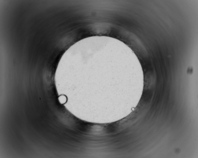X0000103930176200810311525