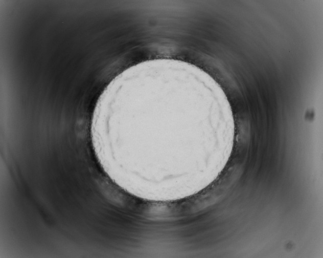 X0000103930177200810311525