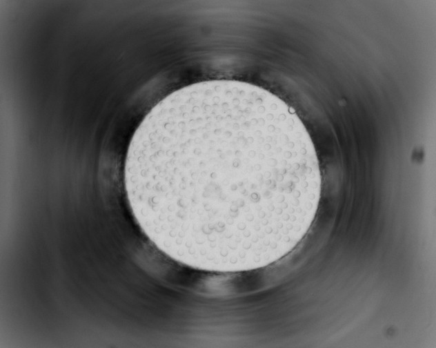 X0000103930178200810311525
