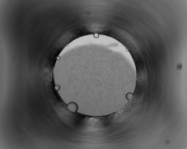 X0000103930180200810311525