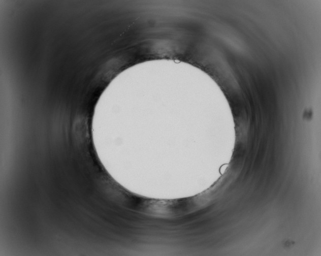 X0000103930182200810311525