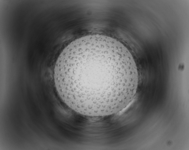 X0000103930183200810311525