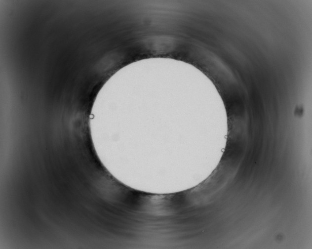 X0000103930184200810311526