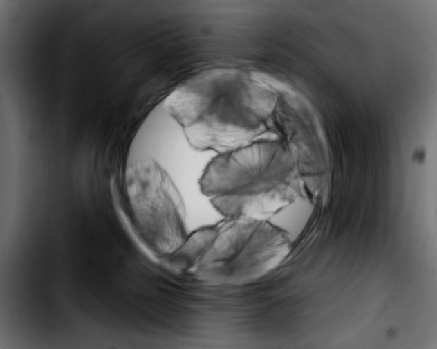 X0000103930185200810311526