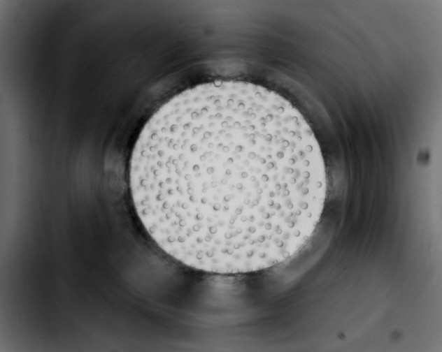 X0000103930187200810311526