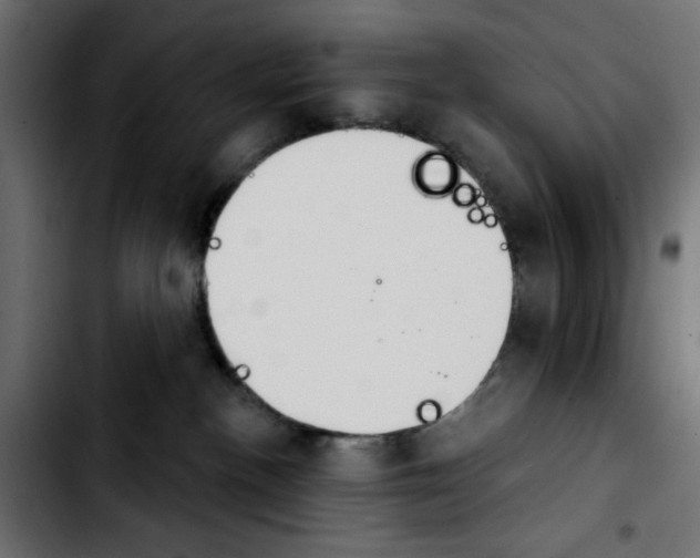 X0000103930188200810311526