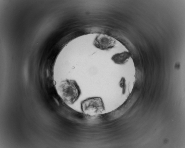 X0000103930189200810311526