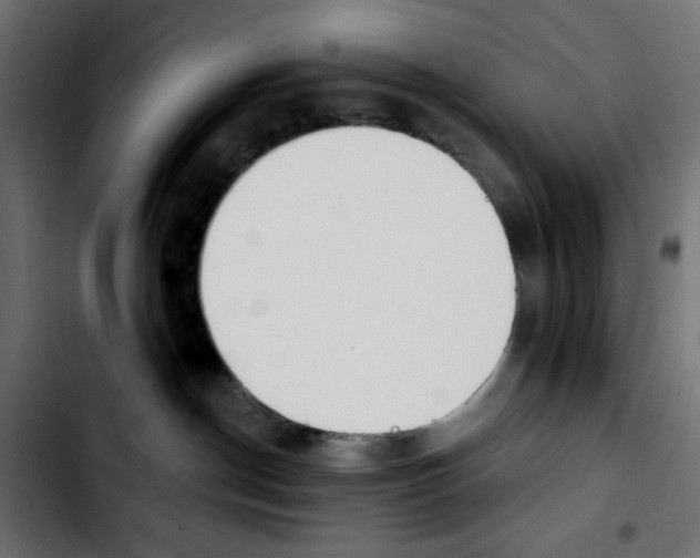 X0000103930190200810311526
