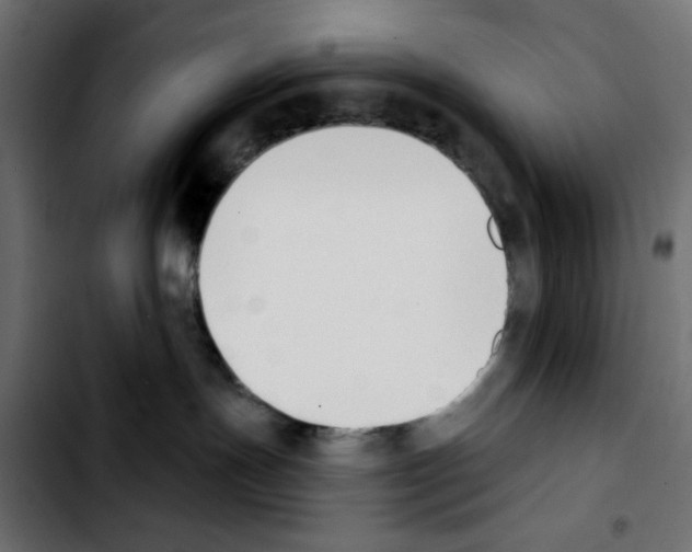 X0000103930191200810311526