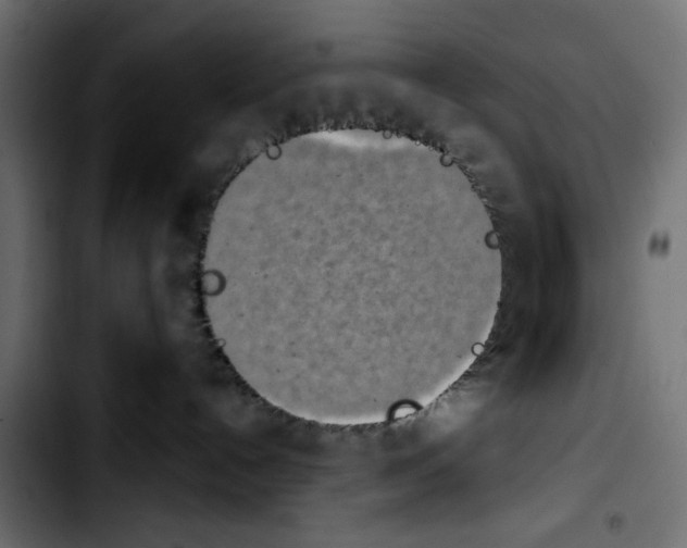X0000103930192200810311526