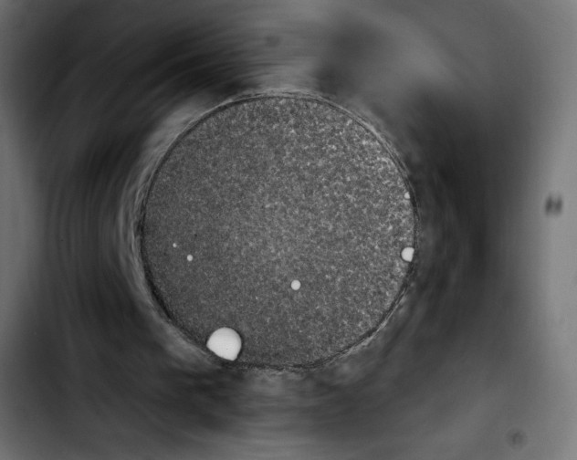 X0000103930193200810311525