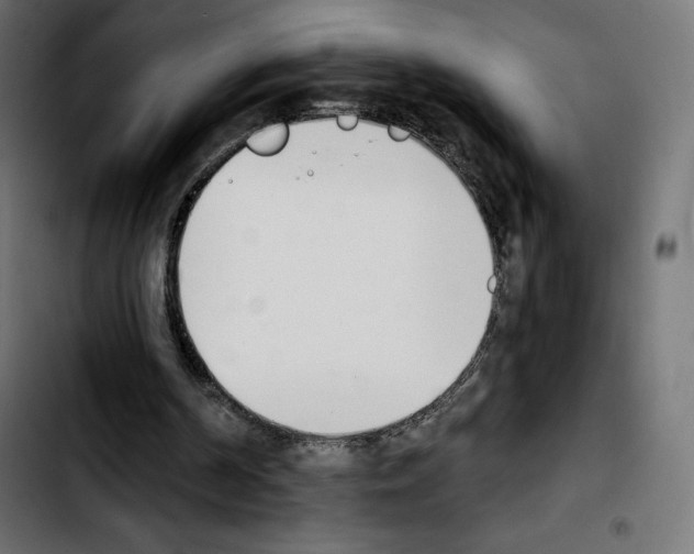 X0000103930194200810311525