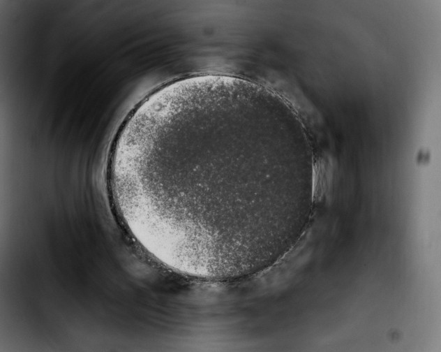 X0000103930195200810311525