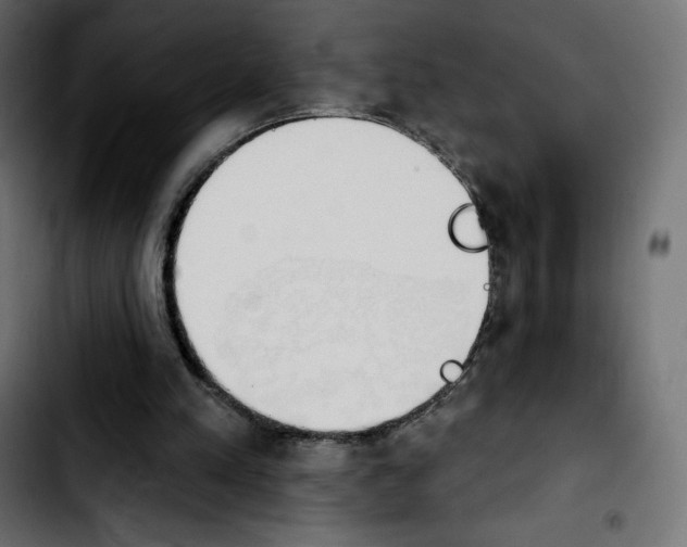 X0000103930197200810311525