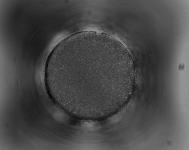 X0000103930199200810311525
