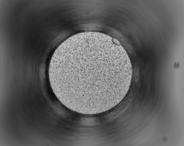X0000103930202200810311525