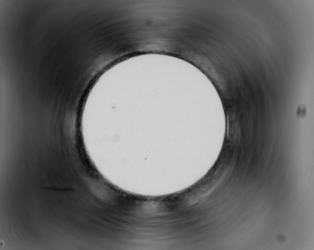 X0000103930204200810311525