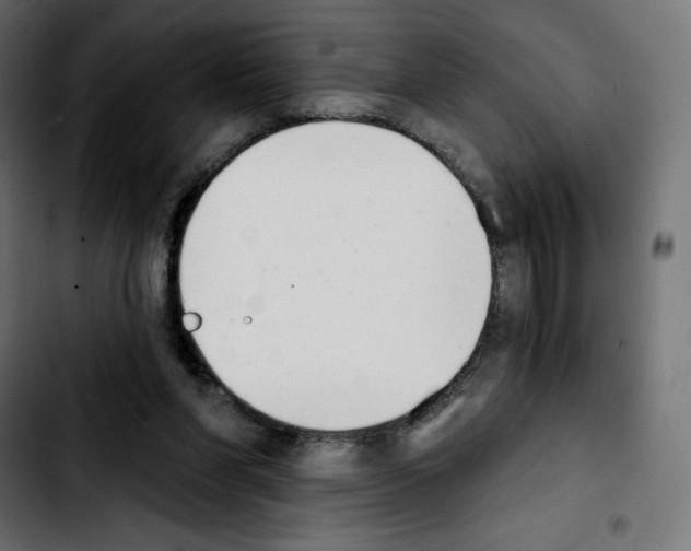 X0000103930206200810311525