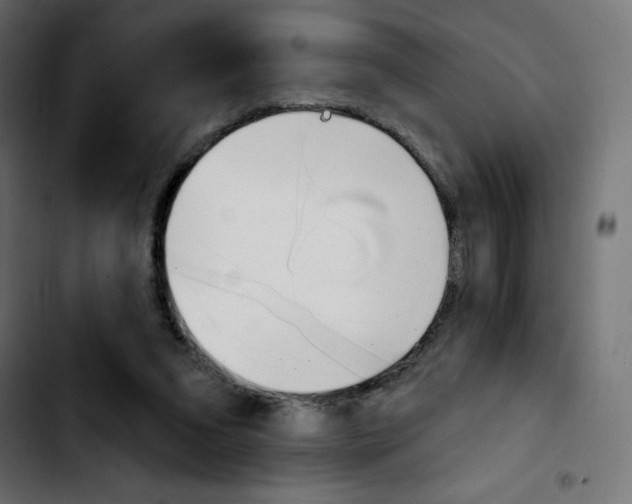 X0000103930207200810311525