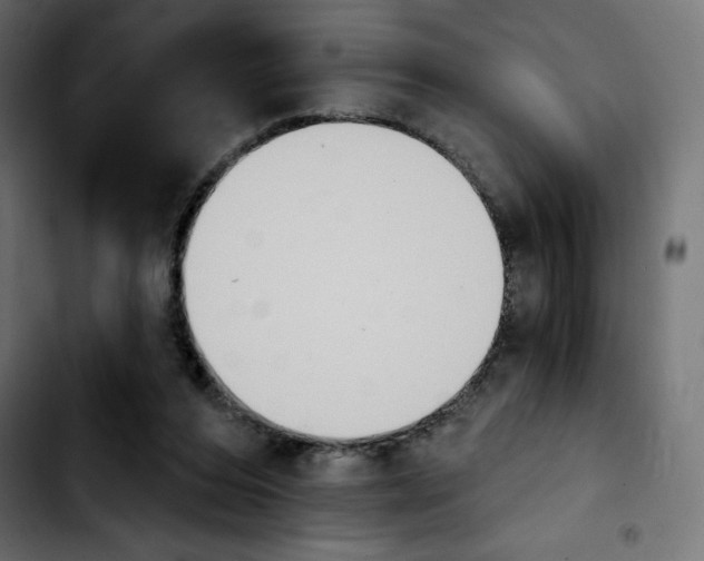 X0000103930208200810311525