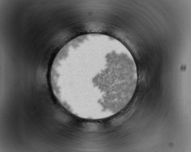 X0000103930209200810311525