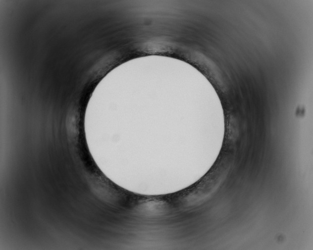 X0000103930210200810311525