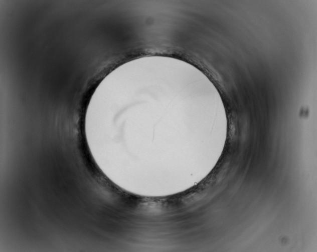 X0000103930211200810311525