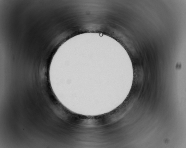 X0000103930212200810311525