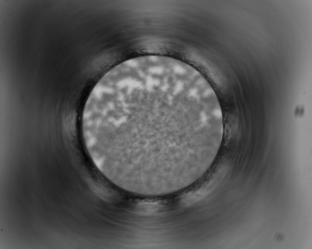 X0000103930213200810311524