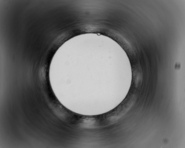 X0000103930214200810311524