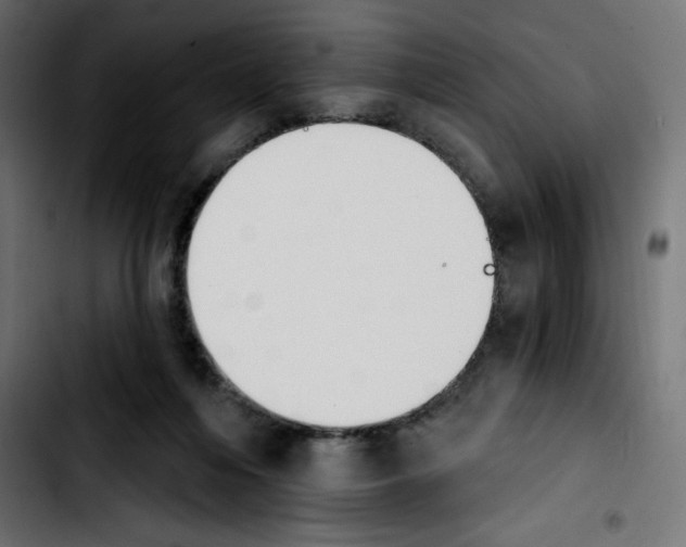 X0000103930216200810311524