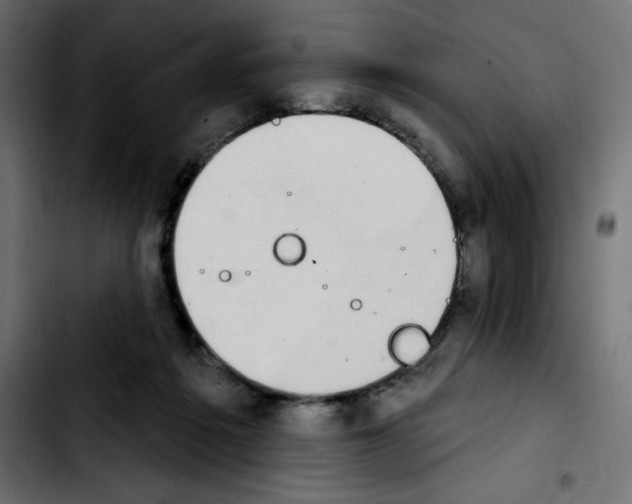 X0000103930217200810311524
