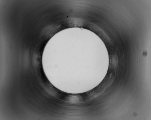 X0000103930218200810311524