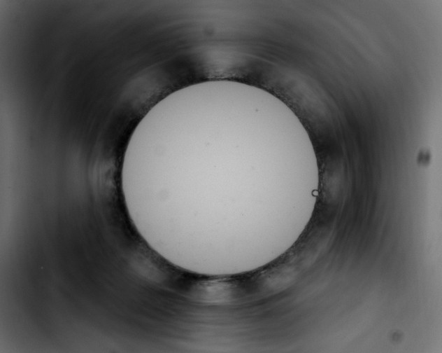 X0000103930219200810311524
