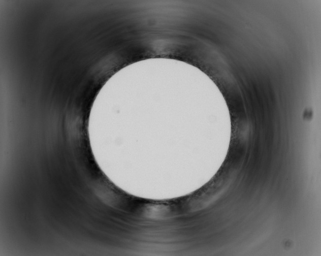 X0000103930220200810311524